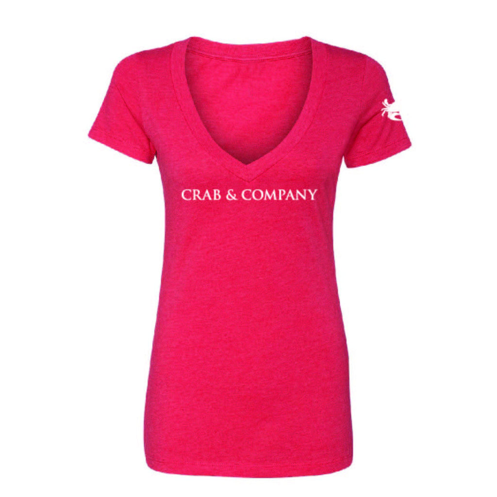 The Classic V-Neck T-Shirt | Womens