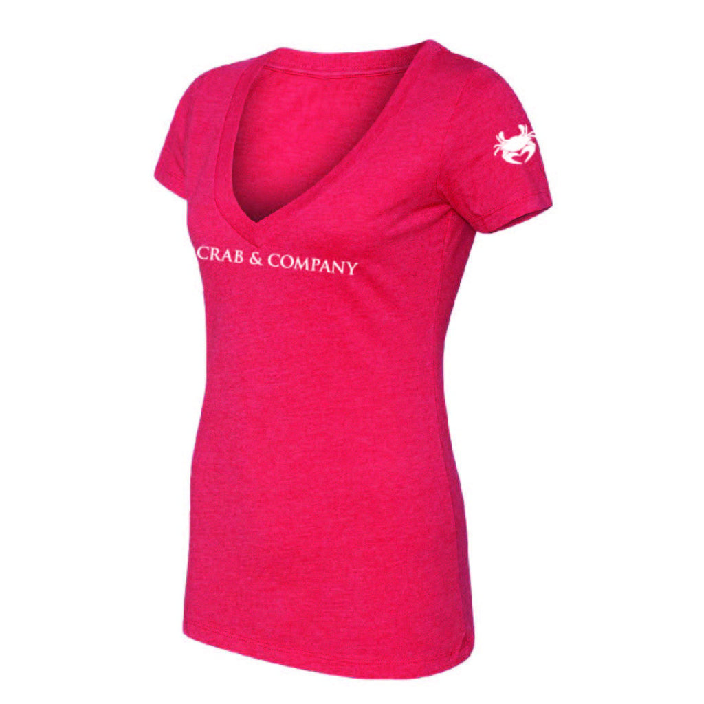 The Classic V-Neck T-Shirt | Womens
