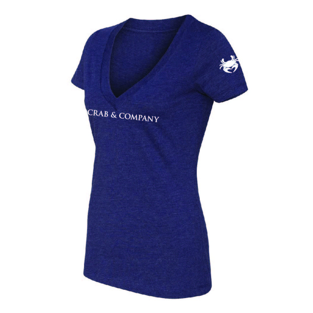 The Classic V-Neck T-Shirt | Womens